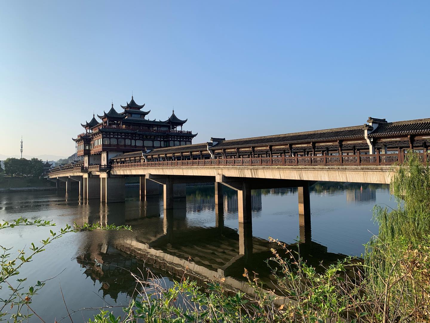 Les jardins de thé de l'Anhui, à l'été 2023