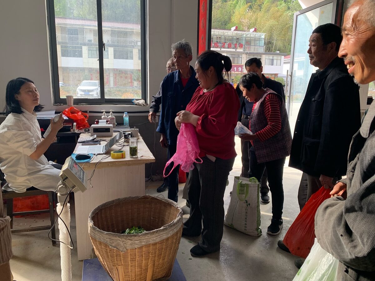 Photo prise lors du voyage chez les producteurs en Chine