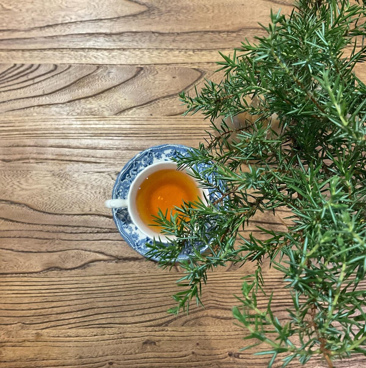 Le service du thé en gong fu cha