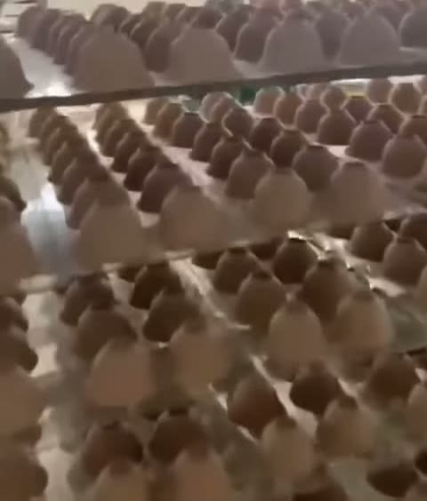 L'atelier de porcelaine du fournisseur de Lijun, à Jingdezhen