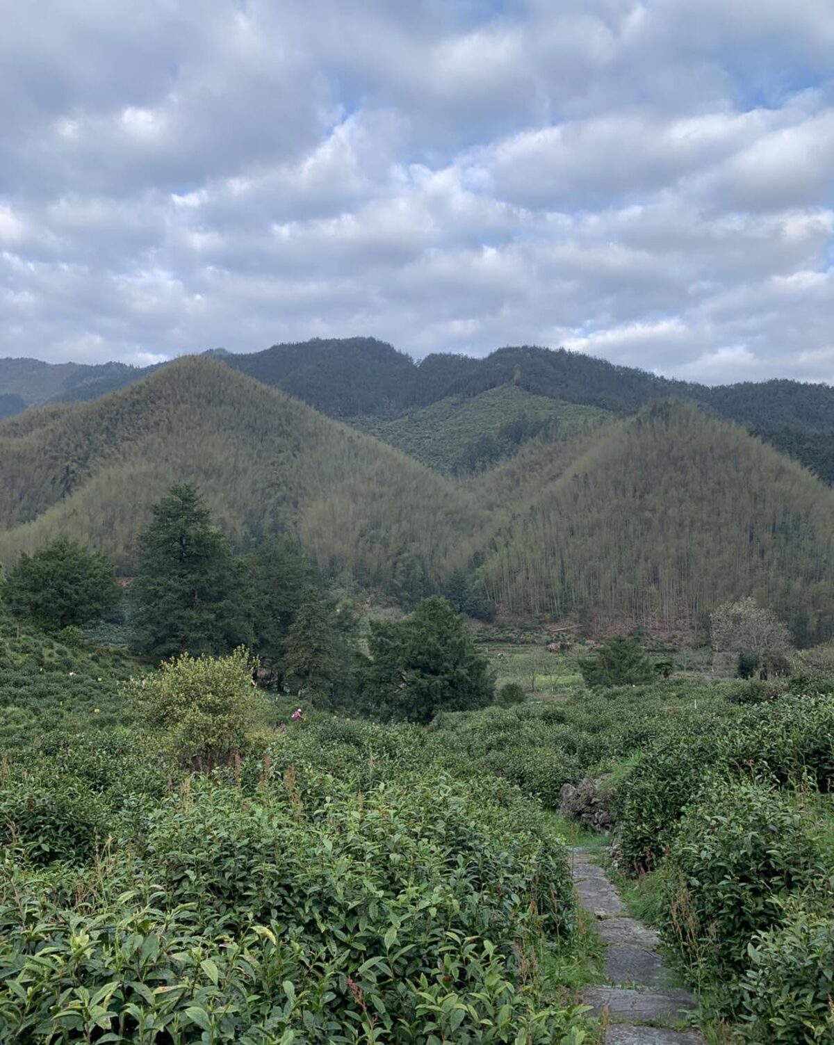 Photo prise lors du voyage chez les producteurs en Chine