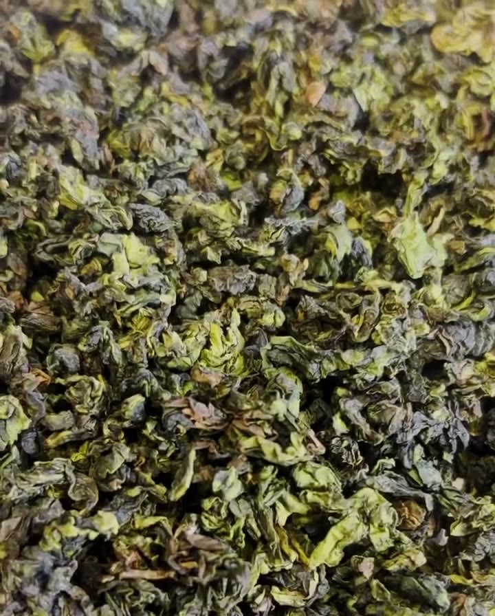Les feuilles sèches du Tie Guan Yin mêlent plusieurs nuances de vert